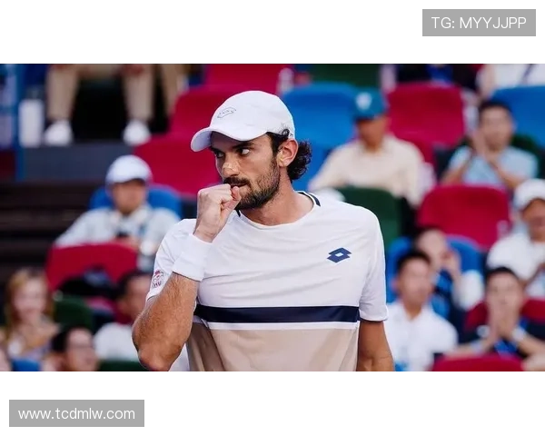 上海网球队的奋斗与荣耀：一段不平凡的网球之路纪实