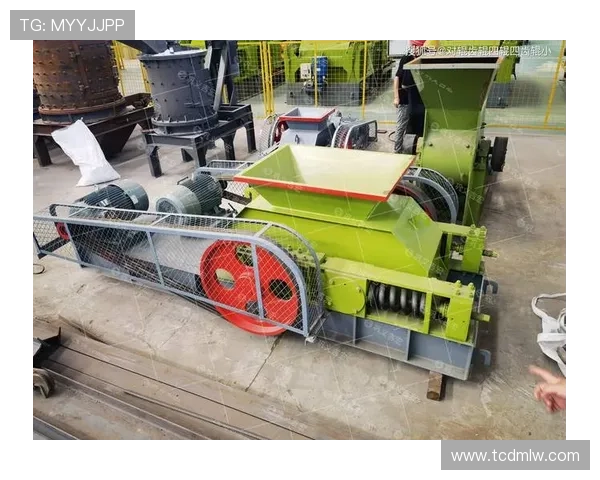 上海羽毛球队防守革新之路探秘与战术解析 上海羽毛球队防守革新之路探秘与战术解析