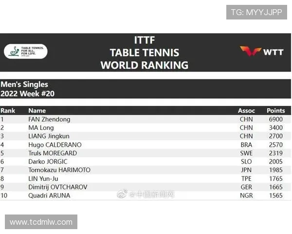 上海网球队展现实力最新网球灵活性TOP10榜单揭晓