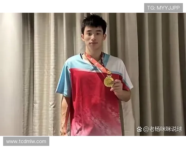 上海羽毛球队在冠军赛中的比赛经验与表现分析 上海羽毛球队在冠军赛中的比赛经验与表现分析