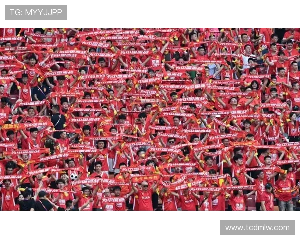 为梦想而战我为足球明星加油助威的热血时刻 为梦想而战我为足球明星加油助威的热血时刻