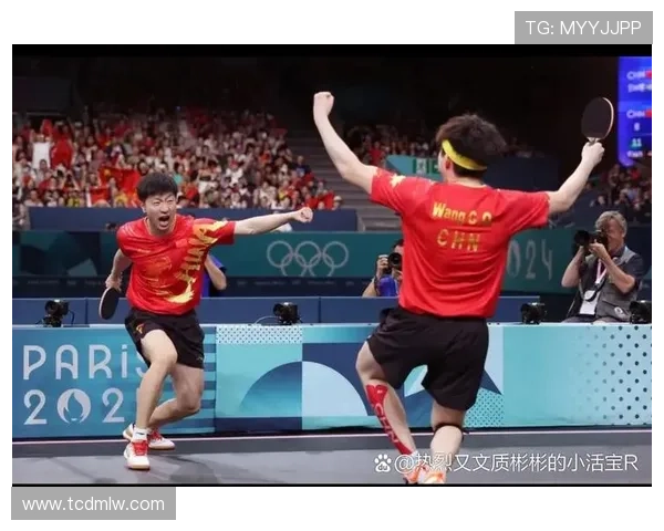 乒乓球灵活性实力榜单权威发布揭示运动员潜力与技术优势