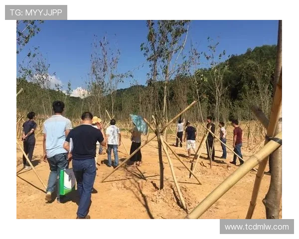 广州排球队挑战赛表现分析与状态评估探讨