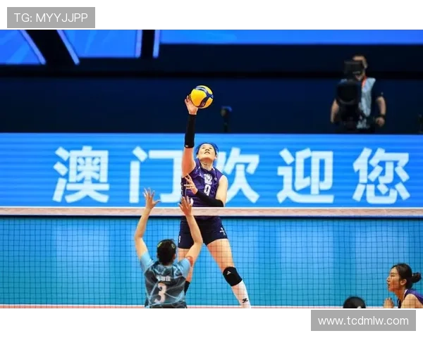 南京全运会排球队速度表现评析展现竞技魅力与团队协作精神